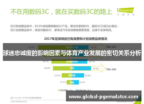 球迷忠诚度的影响因素与体育产业发展的密切关系分析