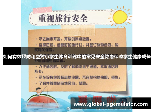 如何有效预防和应对小学生体育训练中的常见安全隐患保障学生健康成长
