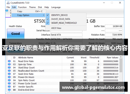 亚足联的职责与作用解析你需要了解的核心内容