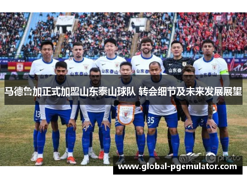 马德鲁加正式加盟山东泰山球队 转会细节及未来发展展望 马德鲁加正式加盟山东泰山球队 转会细节及未来发展展望