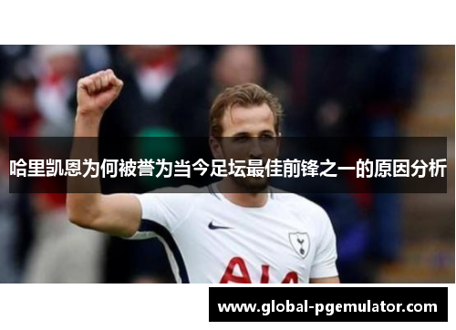 哈里凯恩为何被誉为当今足坛最佳前锋之一的原因分析