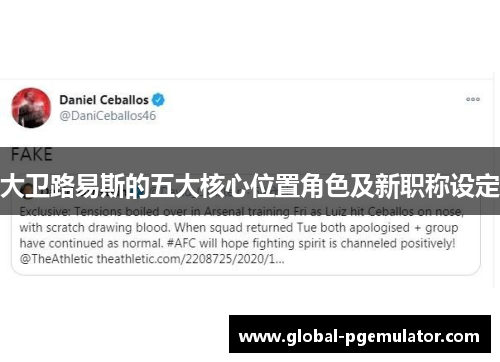 大卫路易斯的五大核心位置角色及新职称设定