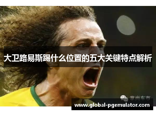 大卫路易斯踢什么位置的五大关键特点解析 大卫路易斯踢什么位置的五大关键特点解析
