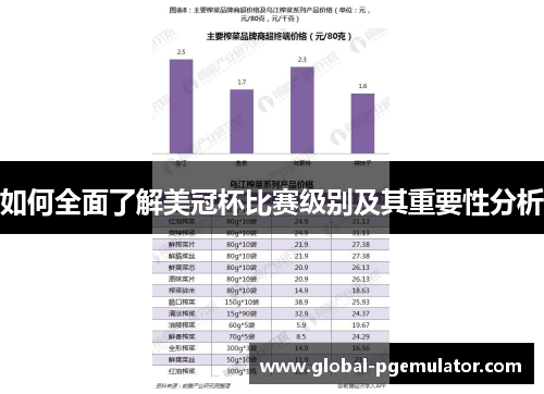 如何全面了解美冠杯比赛级别及其重要性分析