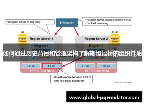 如何通过历史背景和管理架构了解斯坦福桥的组织性质