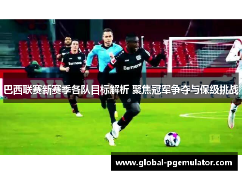 巴西联赛新赛季各队目标解析 聚焦冠军争夺与保级挑战