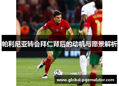 帕利尼亚转会拜仁背后的动机与愿景解析